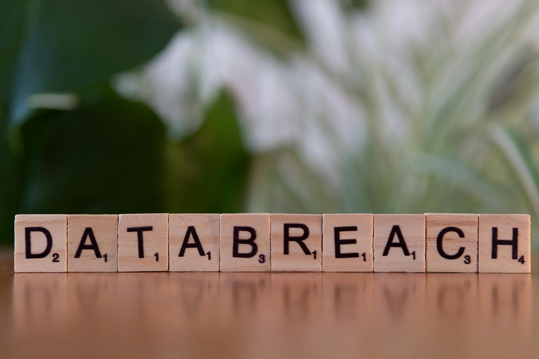 The Most Common Website Vulnerabilities (and How to Prevent Them)