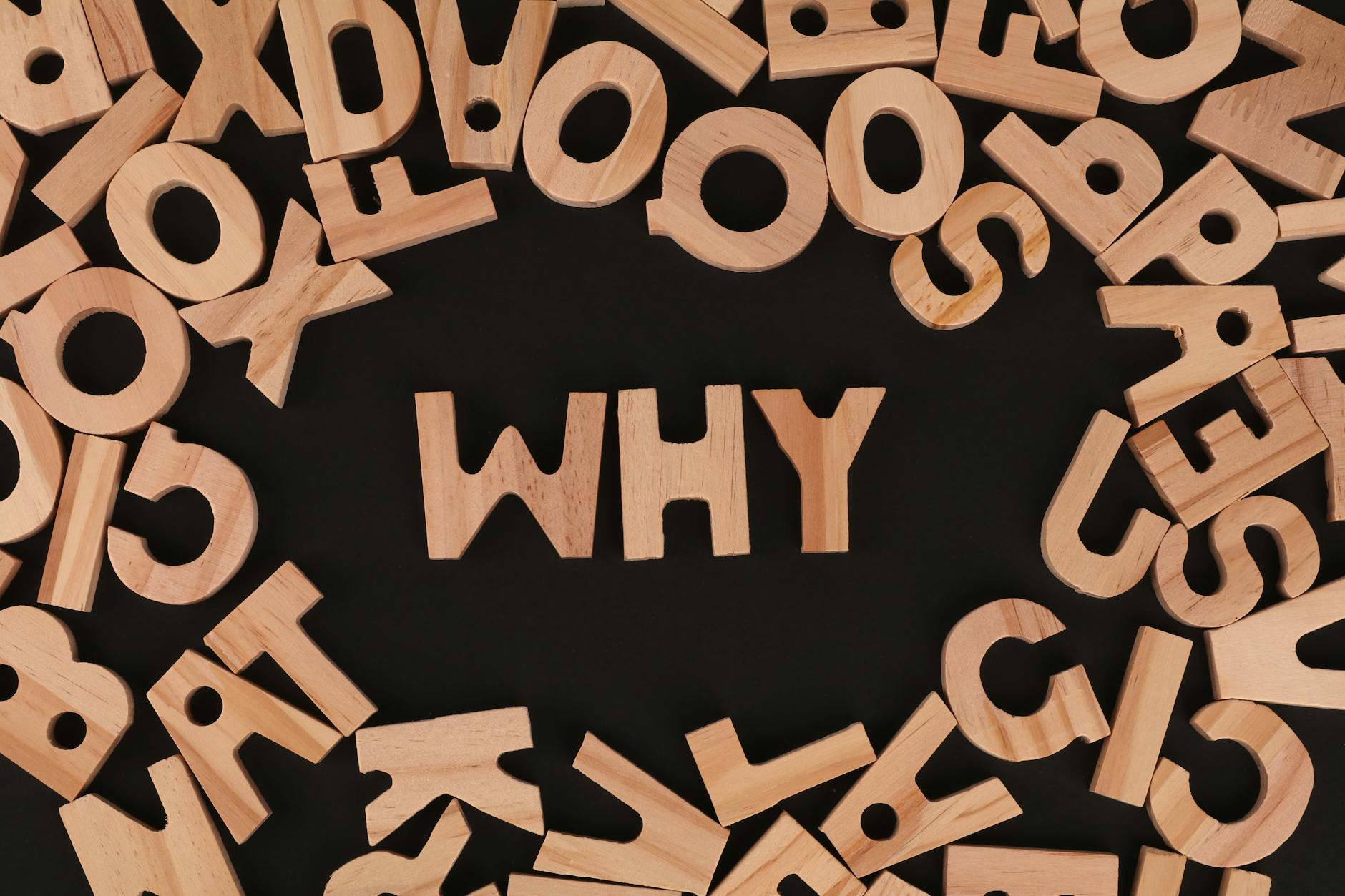 Why Enterprises and Governments Choose Drupal: A Business Decision Guide