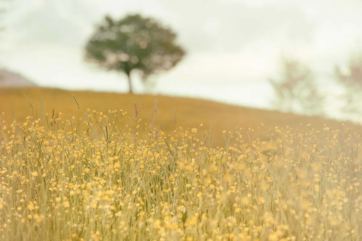 Salesforce CRM Implementation — +41% Faster Sales Cycle